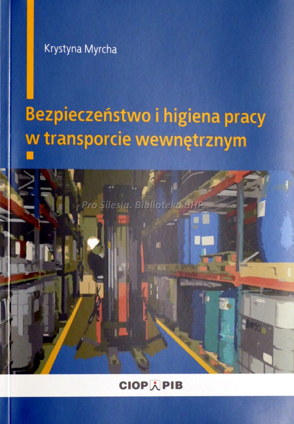 Bezpieczeństwo i higiena pracy w transporcie wewnętrznym, wyd. CIOP-PIB