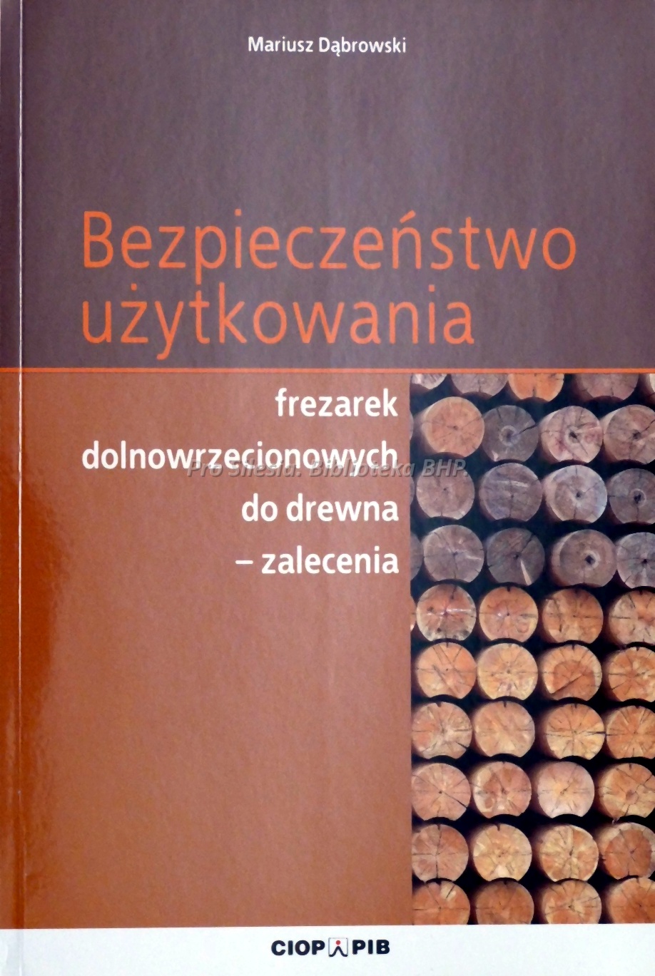 Bezpieczeństwo użytkowania frezarek dolnowrzecionowych do drewna zalecenia, wyd. CIOP-PIB