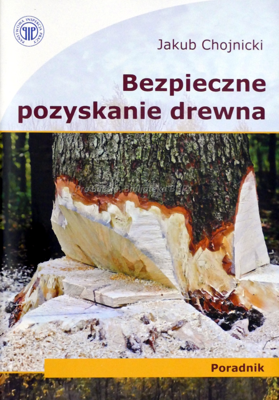 Bezpieczne pozyskiwanie drewna poradnik PIP