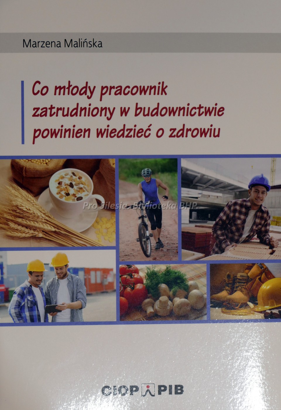 Co młody pracownik zatrudniony w budownictwie powinien wiedzieć o zdrowiu, wyd. CIOP-PIB