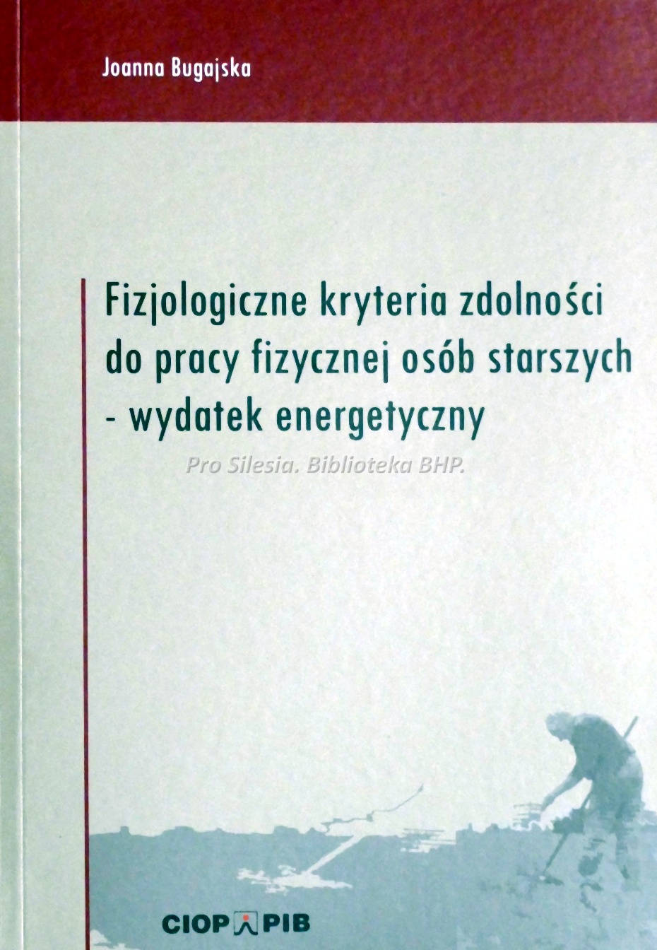 Fizjologiczne kryteria zdolności do pracy osób starszych wydatek energetyczny, wyd. CIOP-PIB