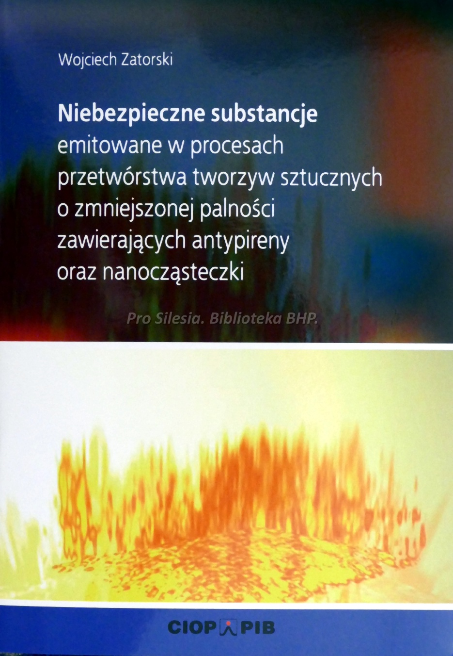 Niebezpieczne substancje emitowane w procesach przetwórstwa tworzyw sztucznych o zmniejszonej palności zawierających antypireny oraz    nanoczasteczki, wyd. CIOP-PIB