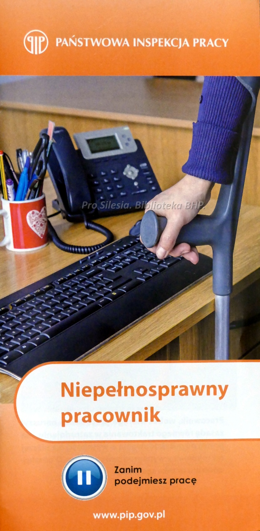 Niepełnosprawny pracownik, wyd.PIP