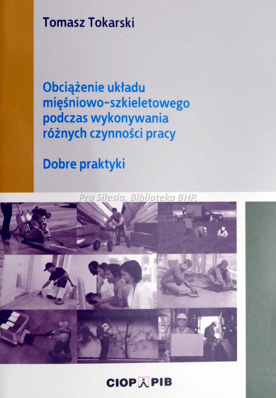 Obciążenie układu mięśniowo szkieletowego podczas wykonywania rożnych czynności pracy dobre praktyki, wyd. CIOP-PIB