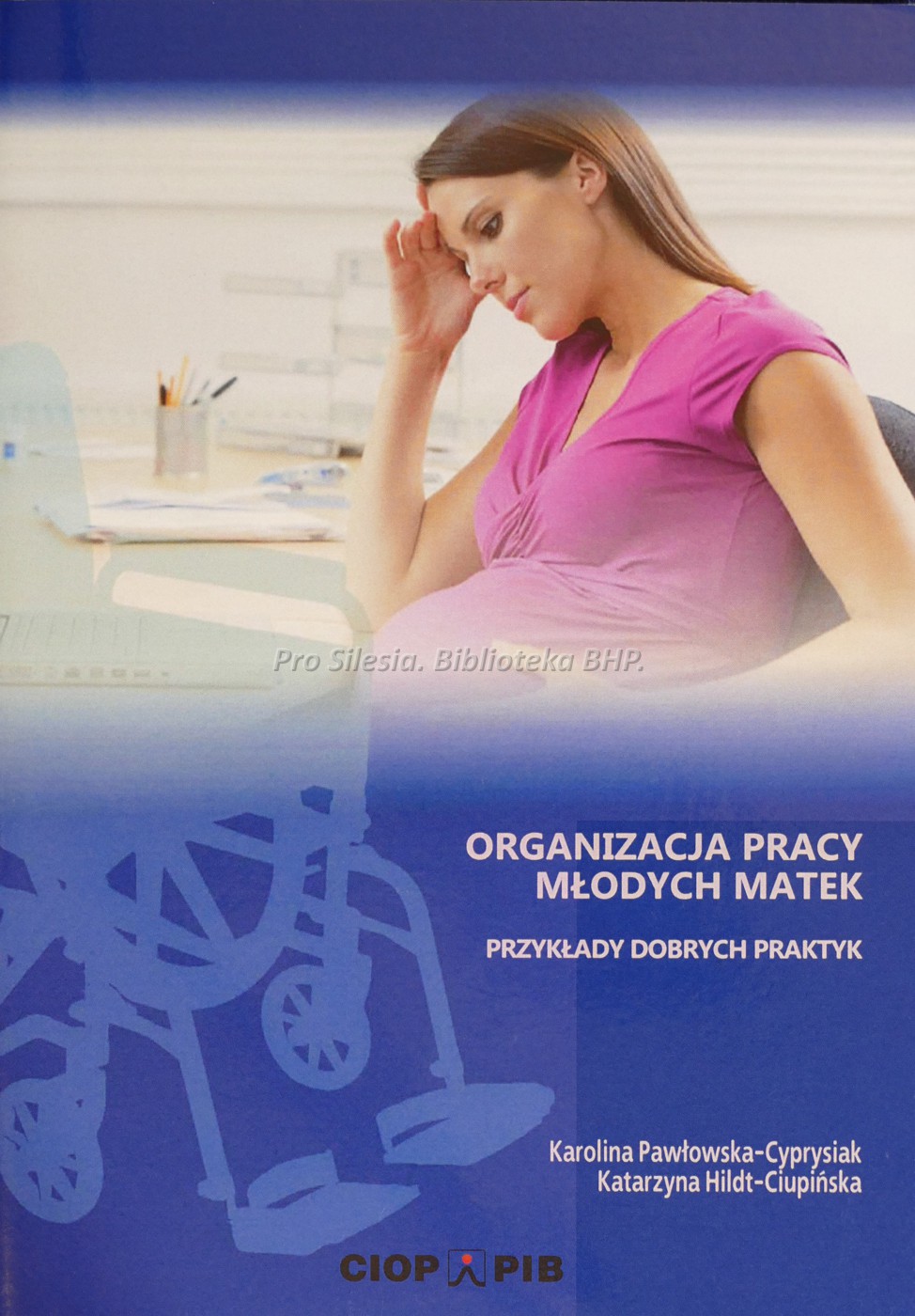 Organizacja pracy młodych matek - przykłady dobrych praktyk, wyd. CIOP-PIB