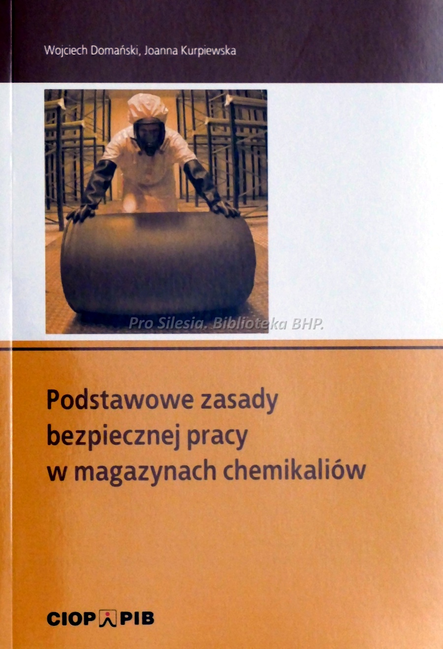 Podstawowe zasady bezpiecznej pracy w magazynach chemikaliów, wyd.CIOP-PIB