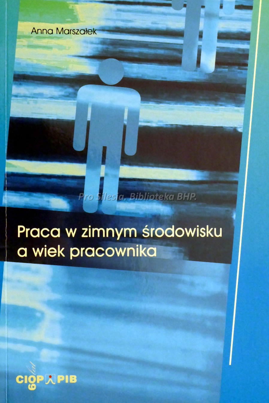 Praca w zimnym środowisku a wiek pracownika, wyd. CIOP-PIB