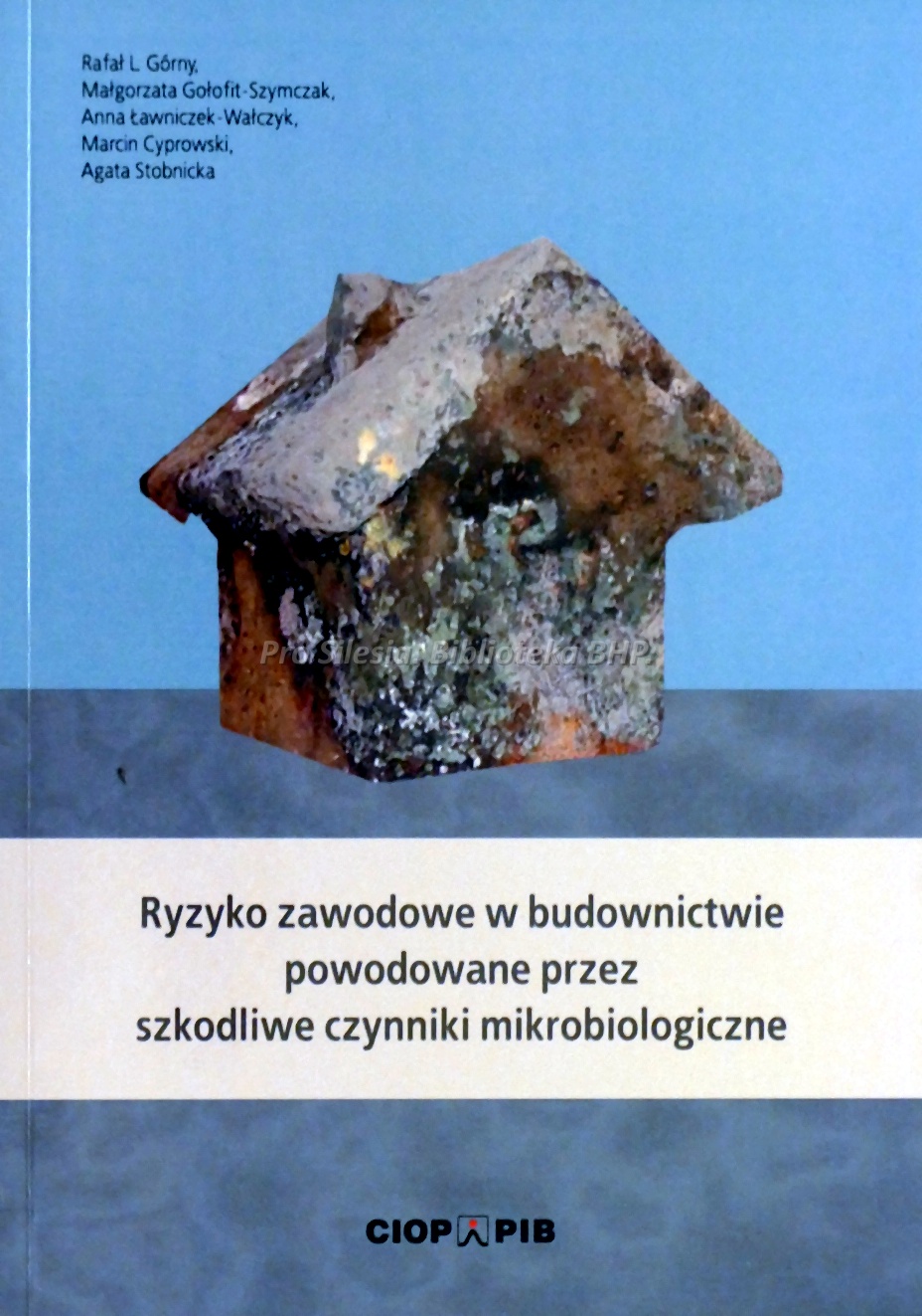 Ryzyko zawodowe w budownictwie powodowane przez szkodliwe czynniki mikrobiologiczne, wyd. CIOP-PIB