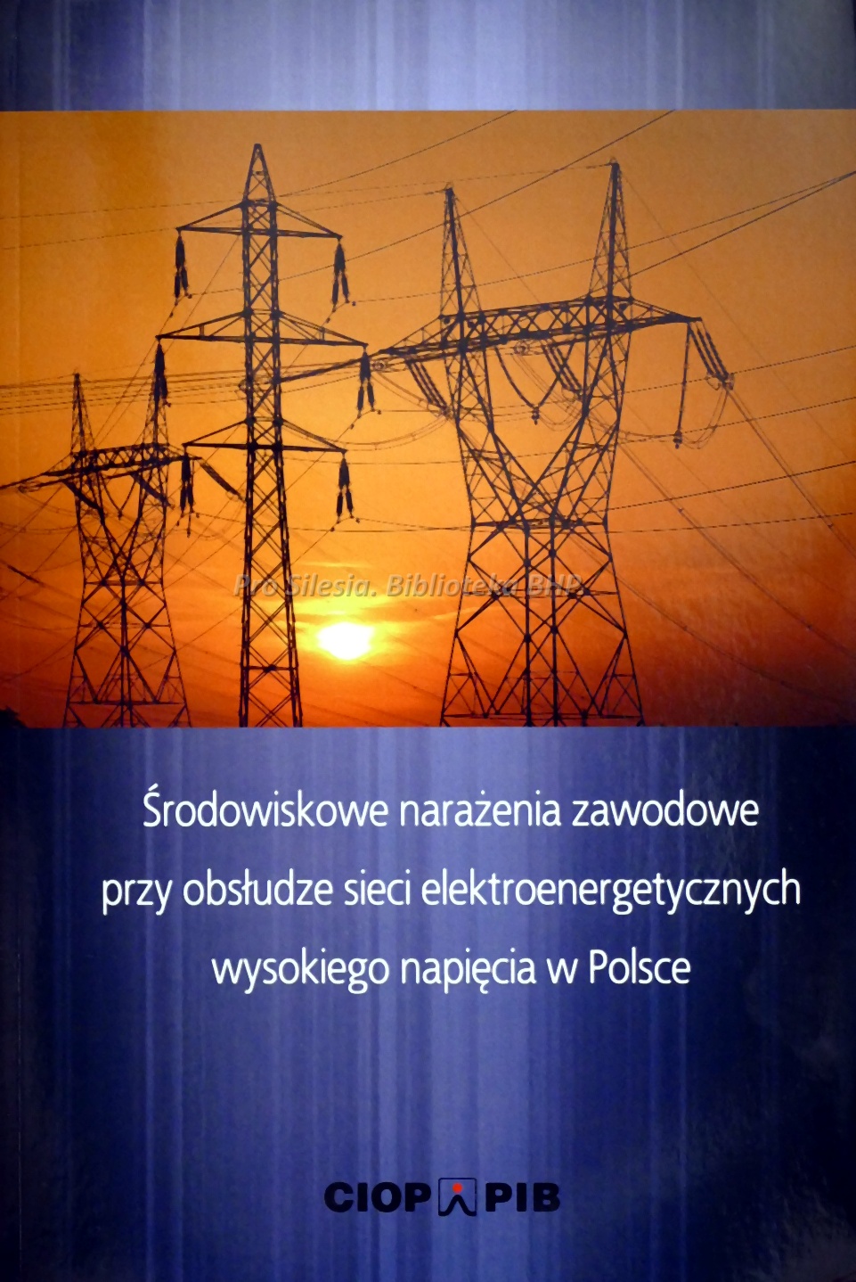 Środowiskowe narażenia zawodowe przy obsłudze sieci elektroenergetycznych wysokiego napięcia w Polsce, wyd. CIOP-PIB