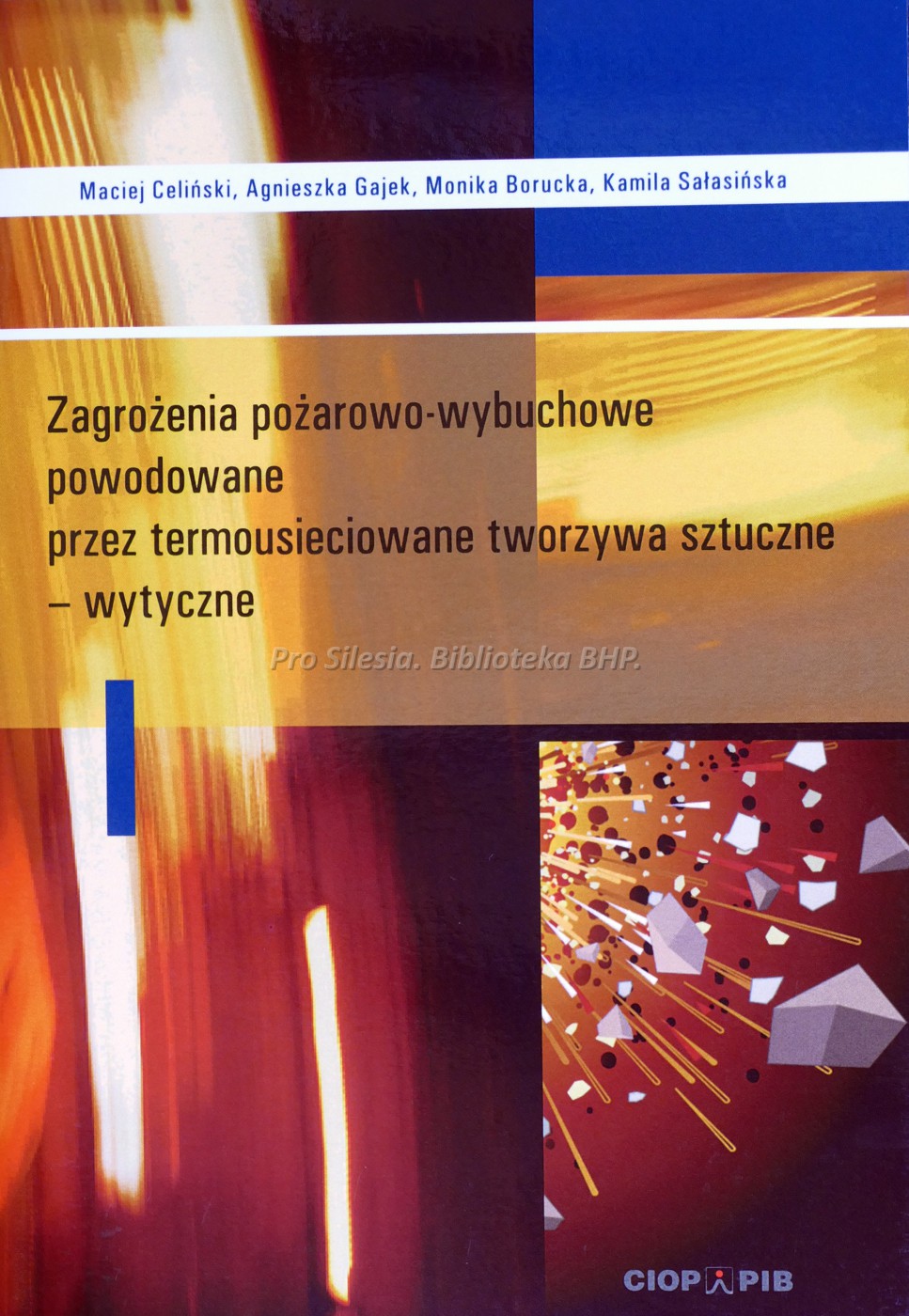 Zagrożenia pożarowo-wybuchowe powodowane przez termousieciowane tworzywa sztuczne - wytyczne, wyd. CIOP-PIB